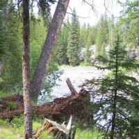 Fox Creek Campground ico