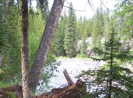 Fox Creek Campground