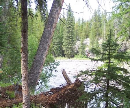 Fox Creek Campground