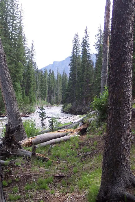 Fox Creek Campground Picture 2