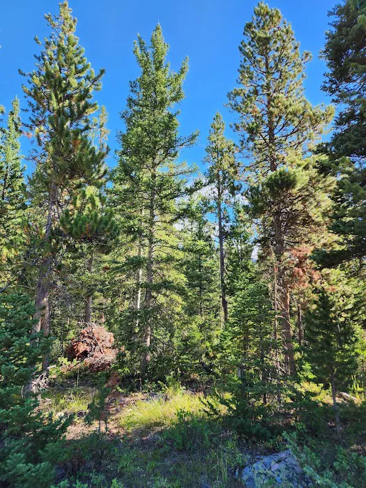 Fox Creek Campground Picture 4