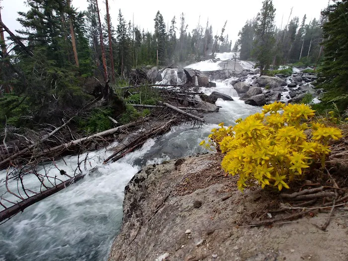 Crazy Creek Campground Picture 6