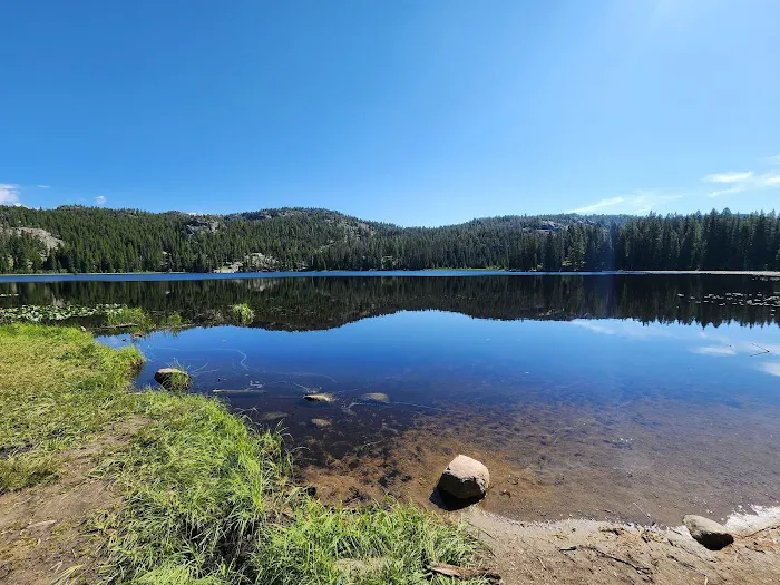 Lily Lake Campground Picture 1