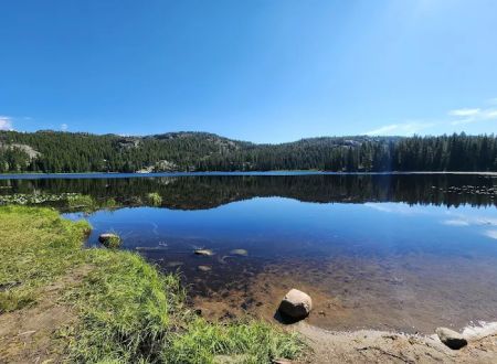 Lily Lake Campground