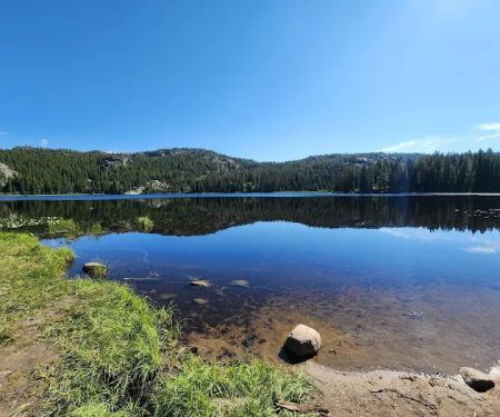 Lily Lake Campground