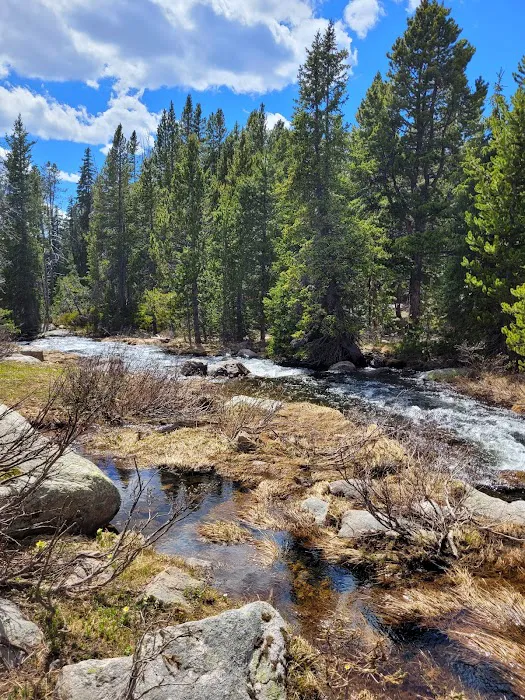 Island Lake Campground Picture 7