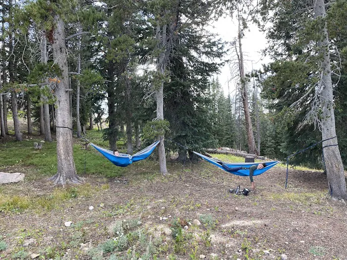 Island Lake Campground Picture 9