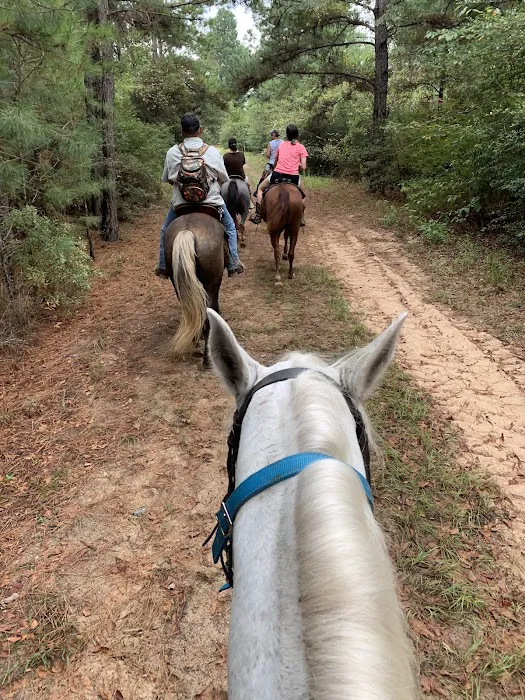 5D Ranch Picture 6