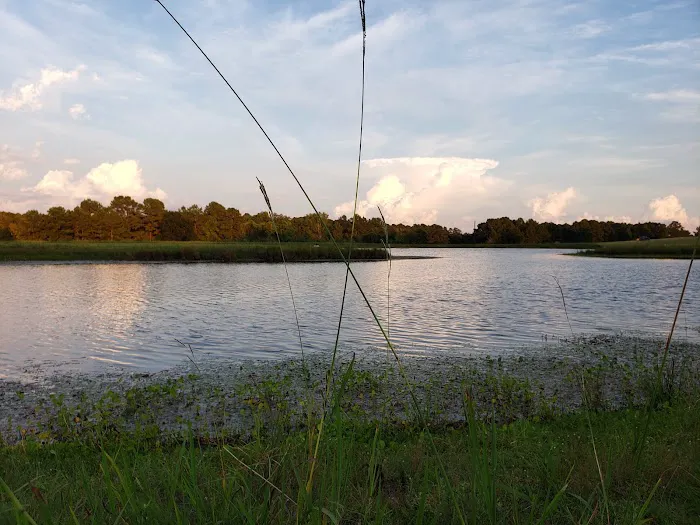 5D Ranch Picture 1