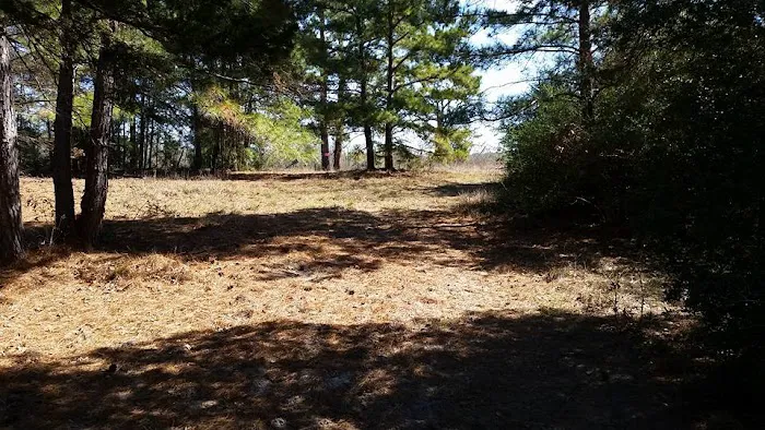 5D Ranch Picture 8