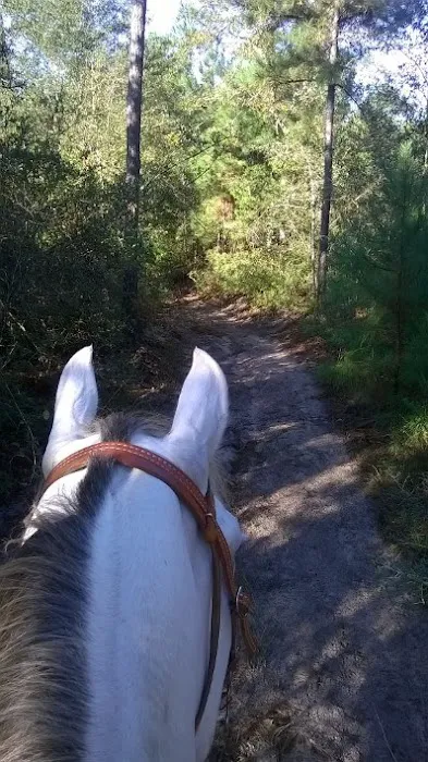 5D Ranch Picture 9