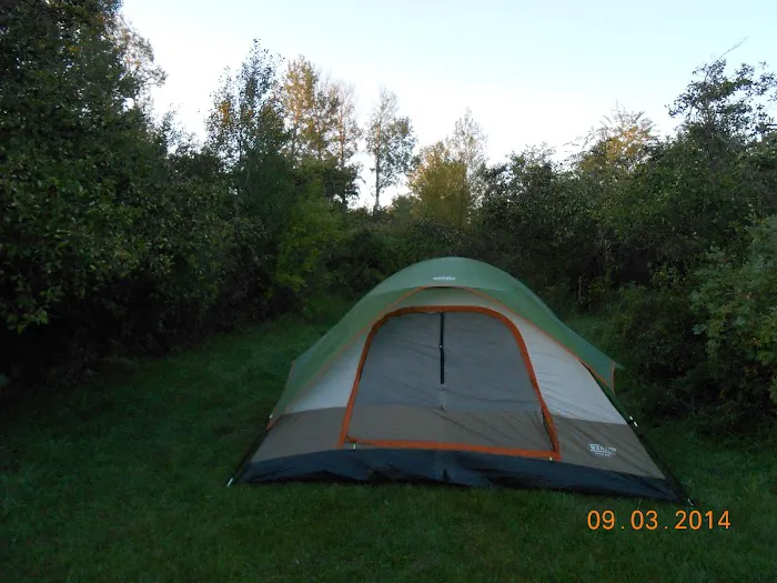 Warm Slough Campsite Picture 3