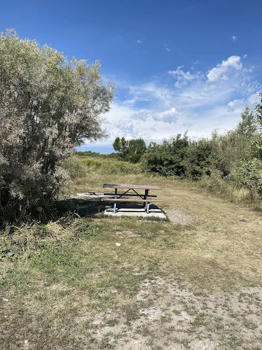Warm Slough Campsite Picture 7