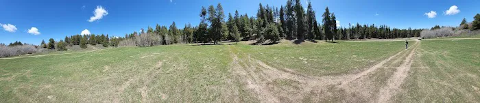 Luthy Meadow Camp Site Picture 3