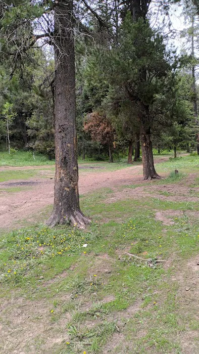 Luthy Meadow Camp Site Picture 7