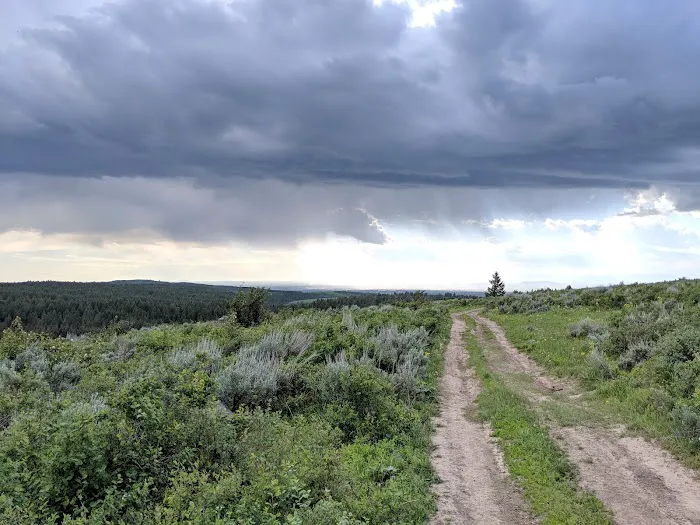 Luthy Meadow Camp Site Picture 9