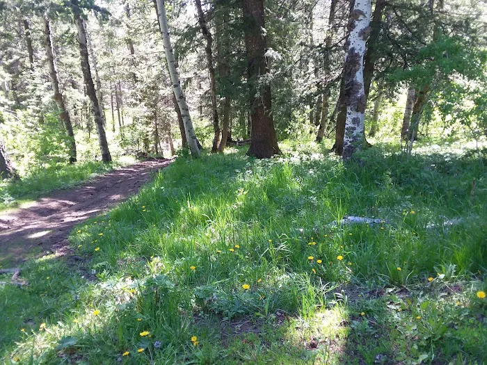 Luthy Meadow Camp Site Picture 2