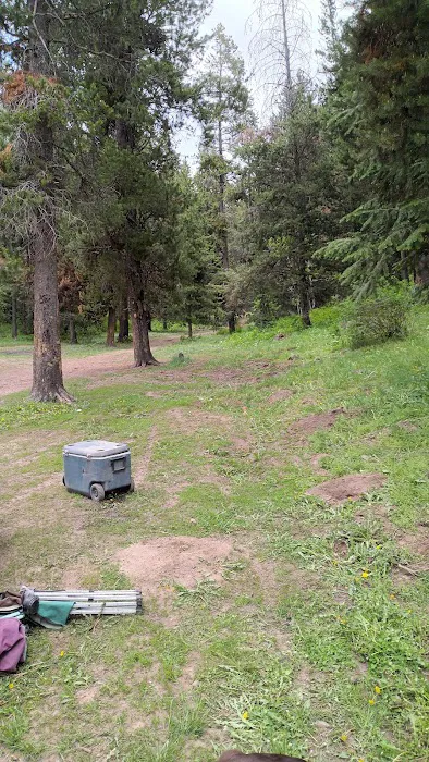 Luthy Meadow Camp Site Picture 6