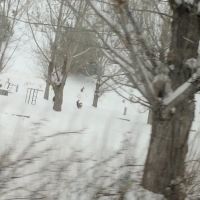 Little Rock Campground ico