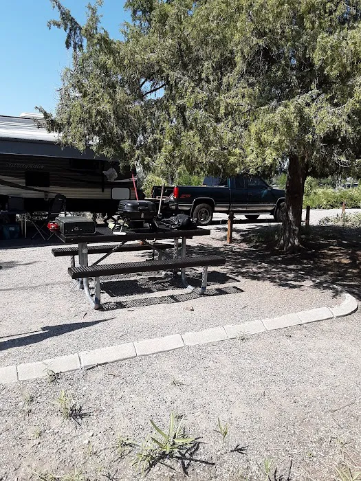 Kelly Island Campground Picture 4