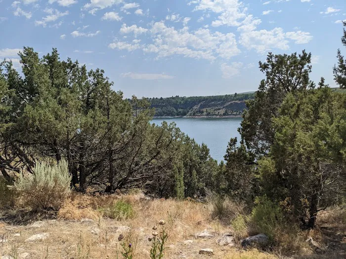 Juniper Campground Picture 5