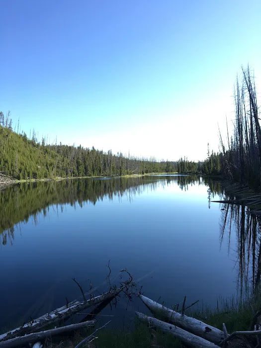 Wapiti Lake Picture 1