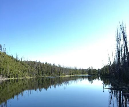 Wapiti Lake