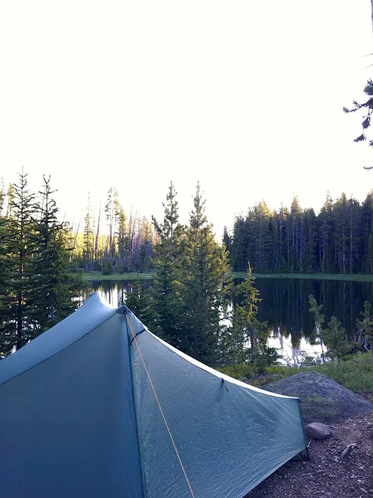 Wapiti Lake Picture 2