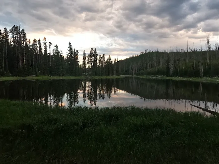 Wapiti Lake Picture 3