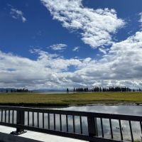 Pelican Creek ico