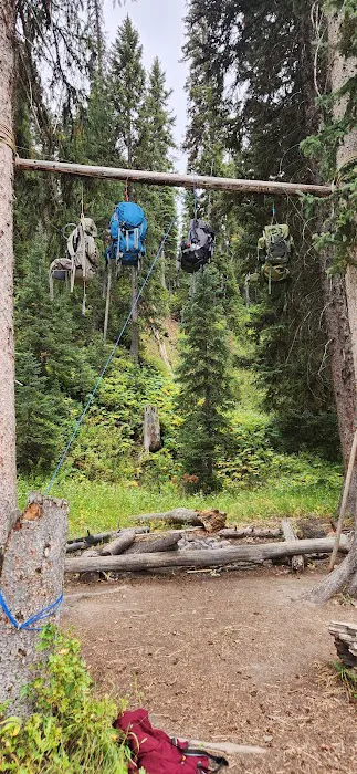 Snake River 8C1 Picture 8