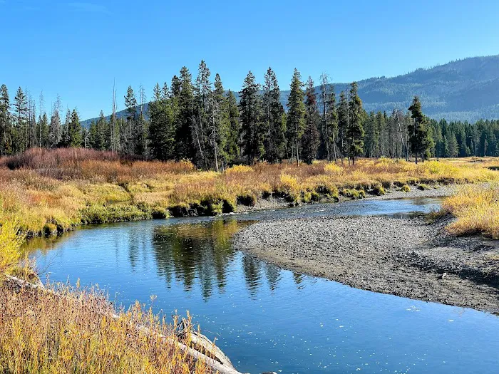 Grassy Lake Road Campsites Picture 5