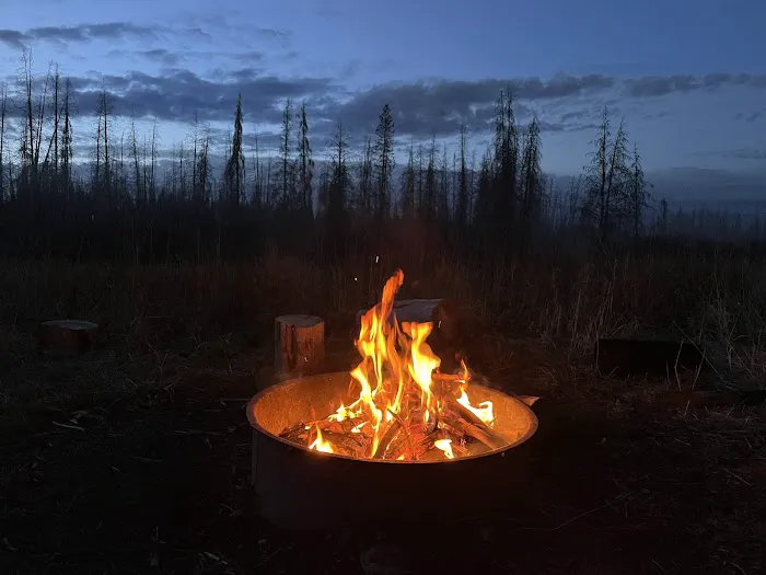 Grassy Lake Road Campsites Picture 4
