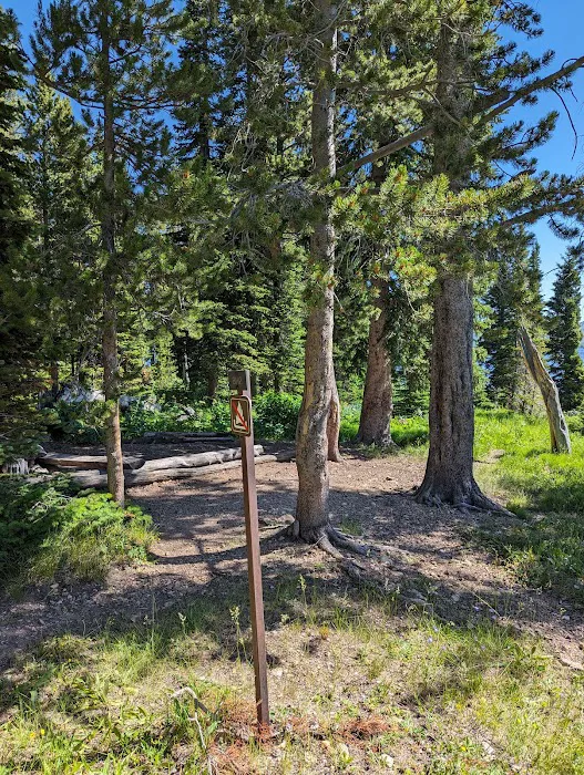 Sheridan Creek (8H2) Picture 7