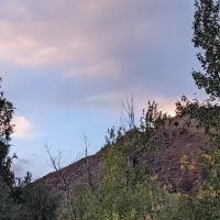 Wapiti Campground ico