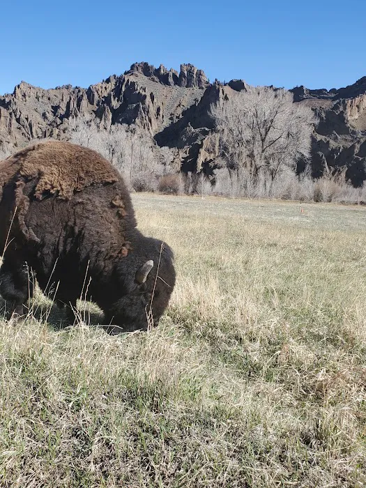 Big Game Campground Picture 4
