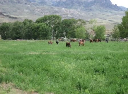 Homestead Campground