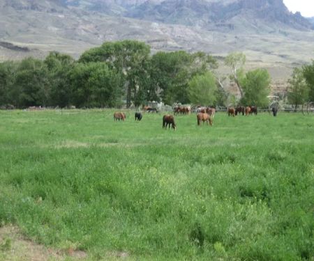 Homestead Campground