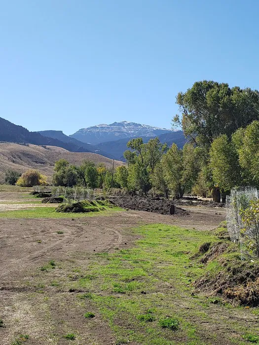 Homestead Campground Picture 8