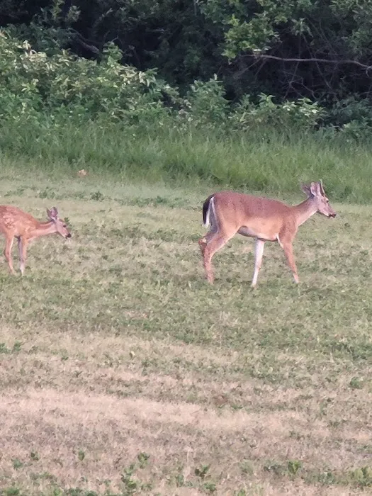 Wolf Creek Park Picture 4