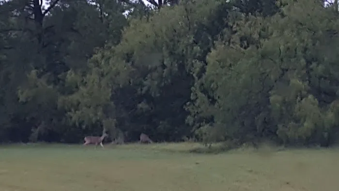 Wolf Creek Park Picture 1