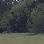 Wolf Creek Park