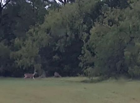 Wolf Creek Park