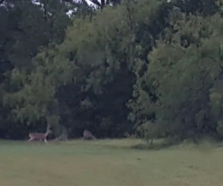Wolf Creek Park