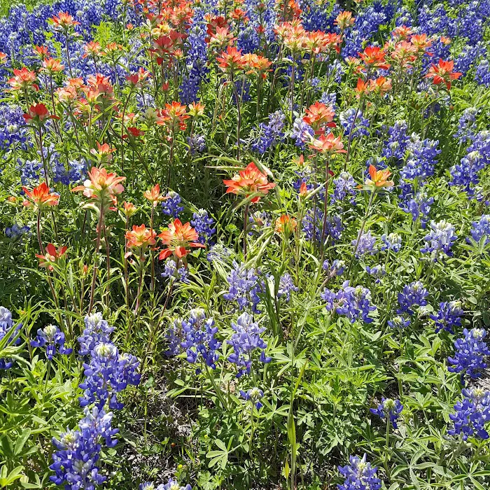 Pecan Point Park Picture 3
