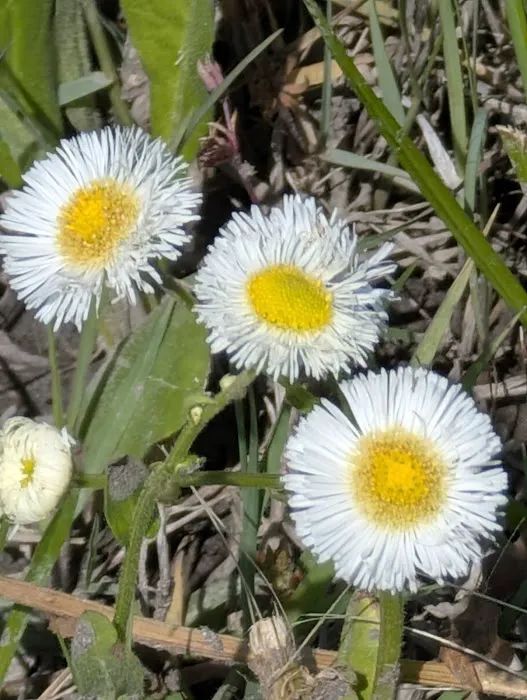 East Fork Park Picture 6