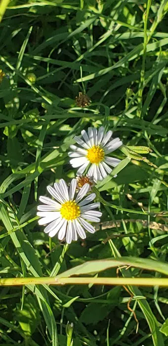 East Fork Park Picture 8