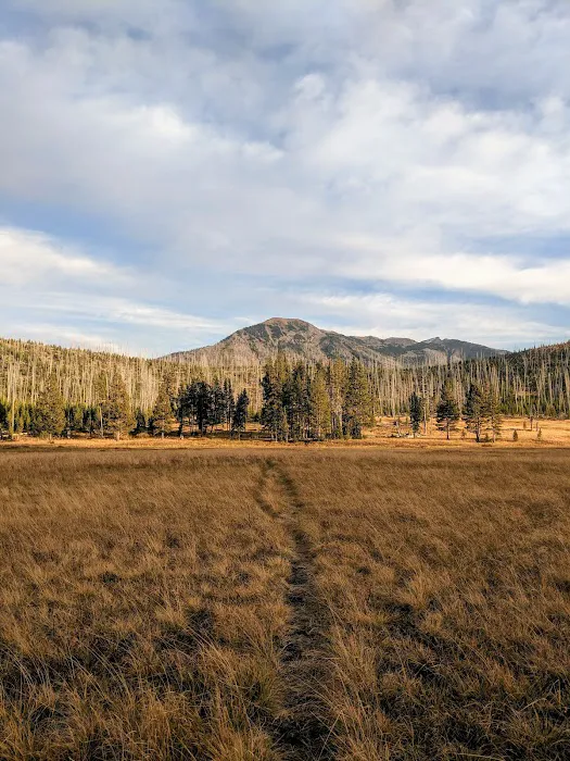 Mist Creek Pass 3T3 Picture 5