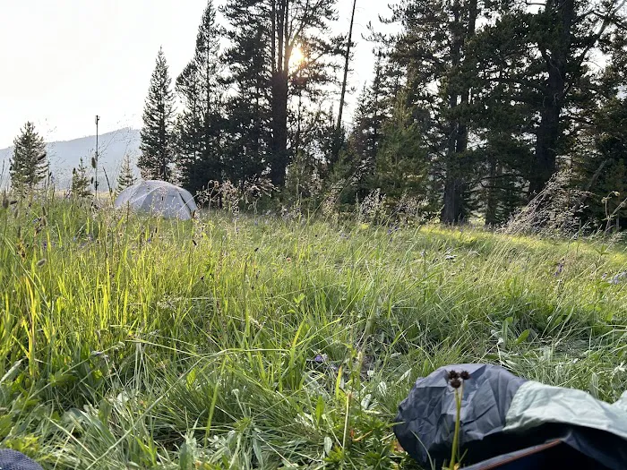 Mist Creek Meadows 3T2 Picture 2