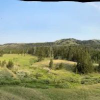 Mist Creek Meadows 3T2 ico